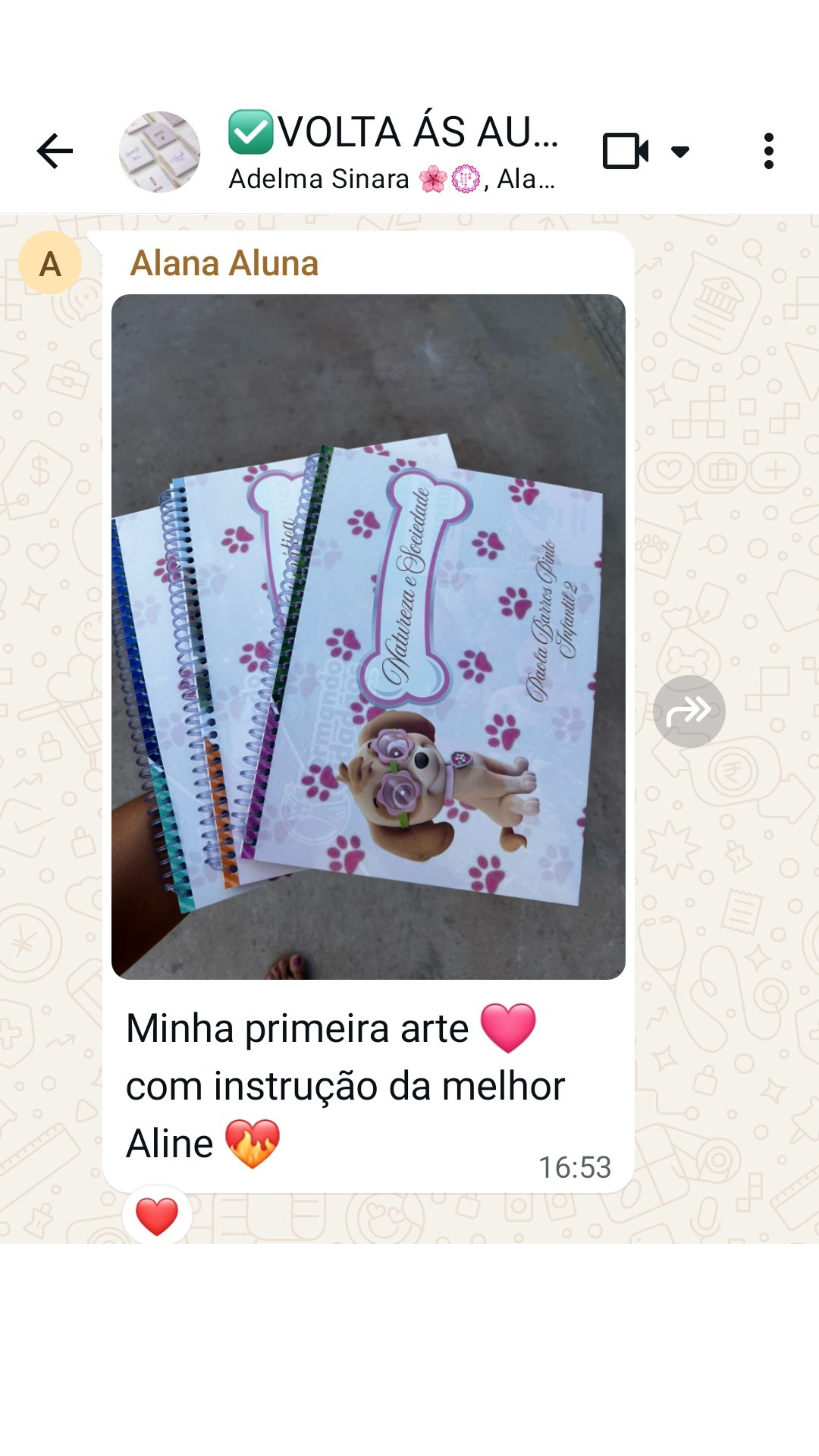 Depoimento de aluna